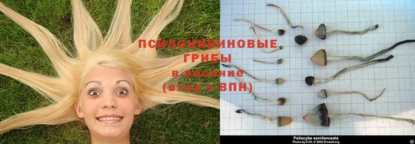 МДПВ Чердынь