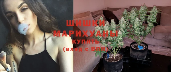 ECSTASY Чекалин