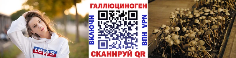 Галлюциногенные грибы Cubensis Купить где Калачинск